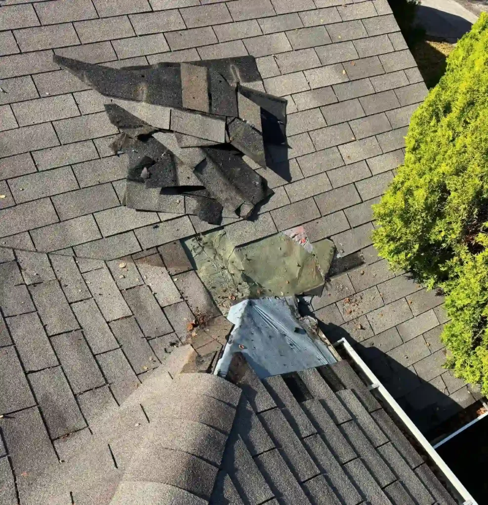 Roof Leak Repair 6